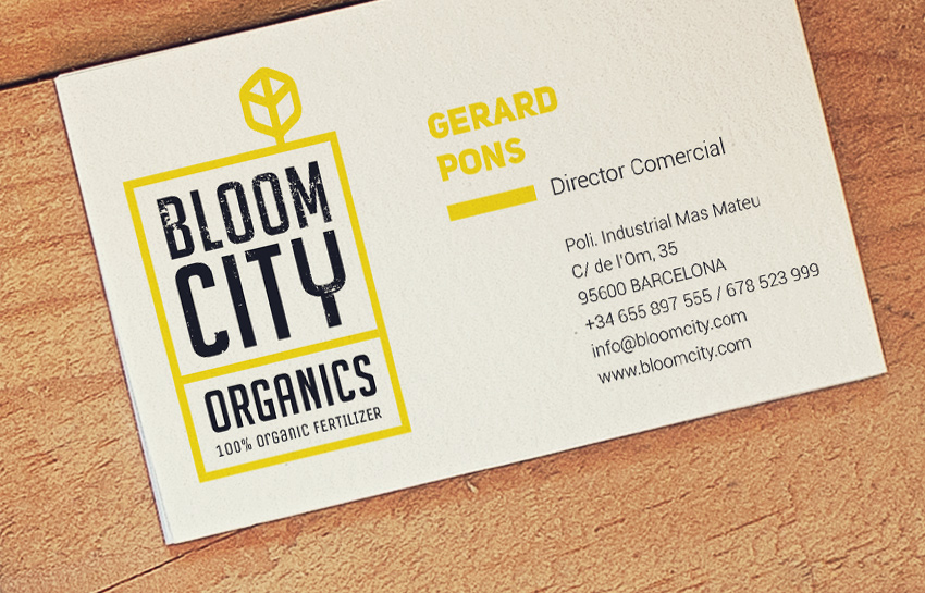 Branding, diseño imagen corporativa en Santander, Cantabria