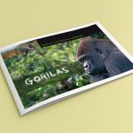 diseño grafico alta experiencia en Santander