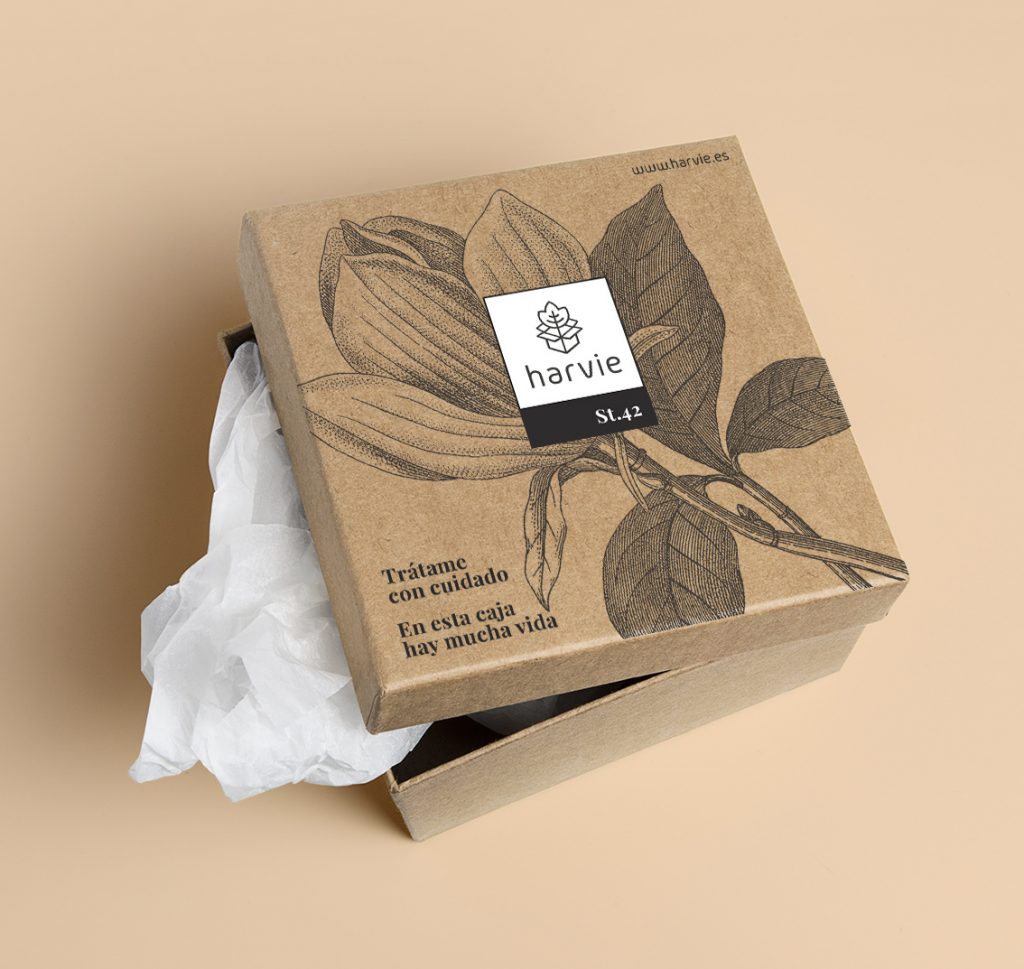 Packaging diseño gráfico